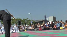 Japan Day, Jû-Jutsu, 2014 - 1