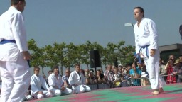 Japan Day, Jû-Jutsu, 2014 - 7