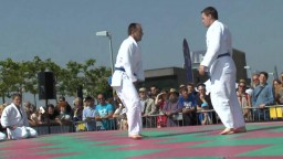 Japan Day, Jû-Jutsu, 2014 - 9