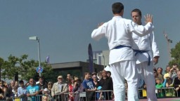 Japan Day, Jû-Jutsu, 2014 - 10