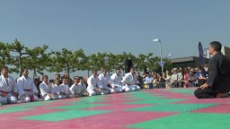 Japan Day, Jû-Jutsu, 2014 - 11