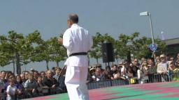 Japan Day, Karate, 2014 - 9