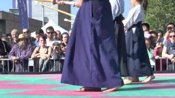 Japan Day, Kendô, 2014 - 3